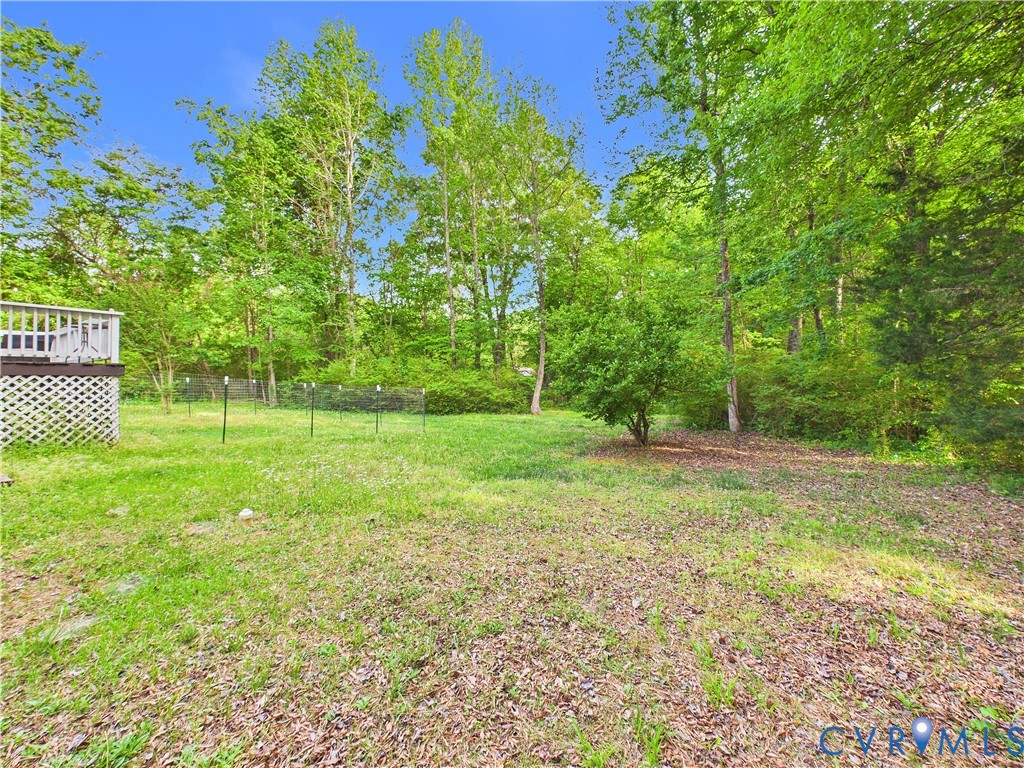 1035 Cole Harbor Road Blackstone, VA 23824 - Photo 34 of 39