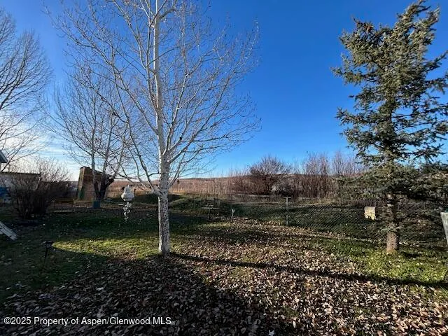 a view of a backyard with large trees