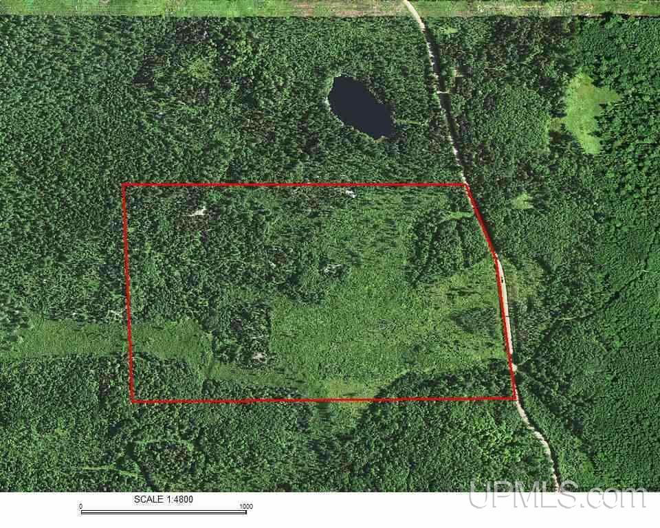 70-acres 70-acres Co Road Ishpeming, MI 49849 - Photo 7 of 7