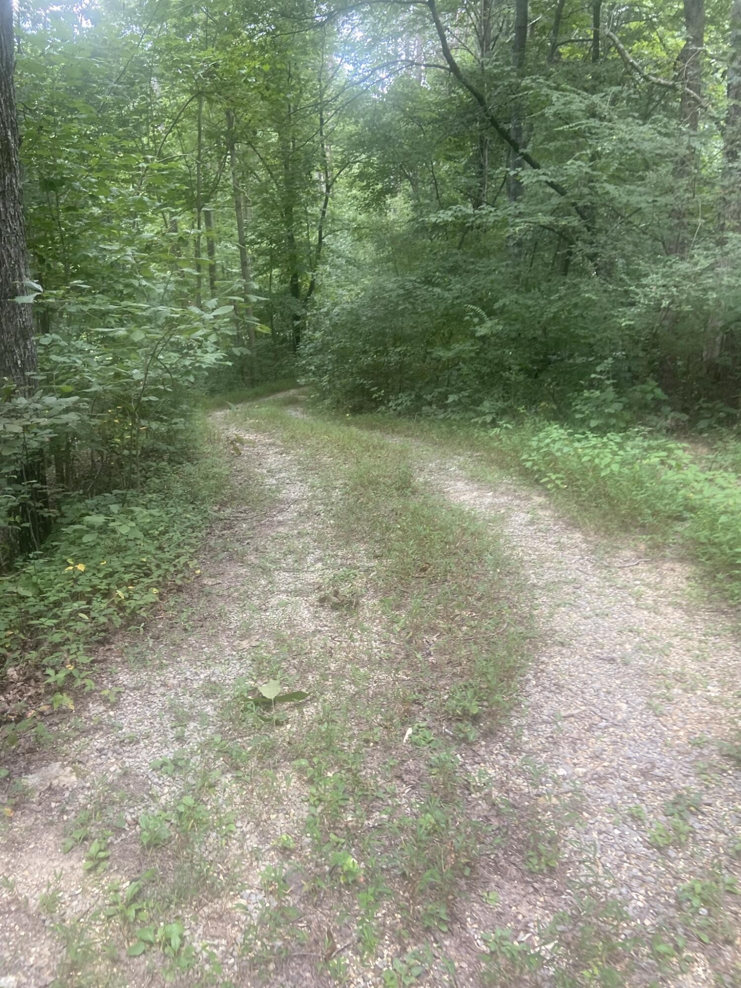 7 Northwest Mowery Road Cleveland, TN 37312 - Photo 2 of 5