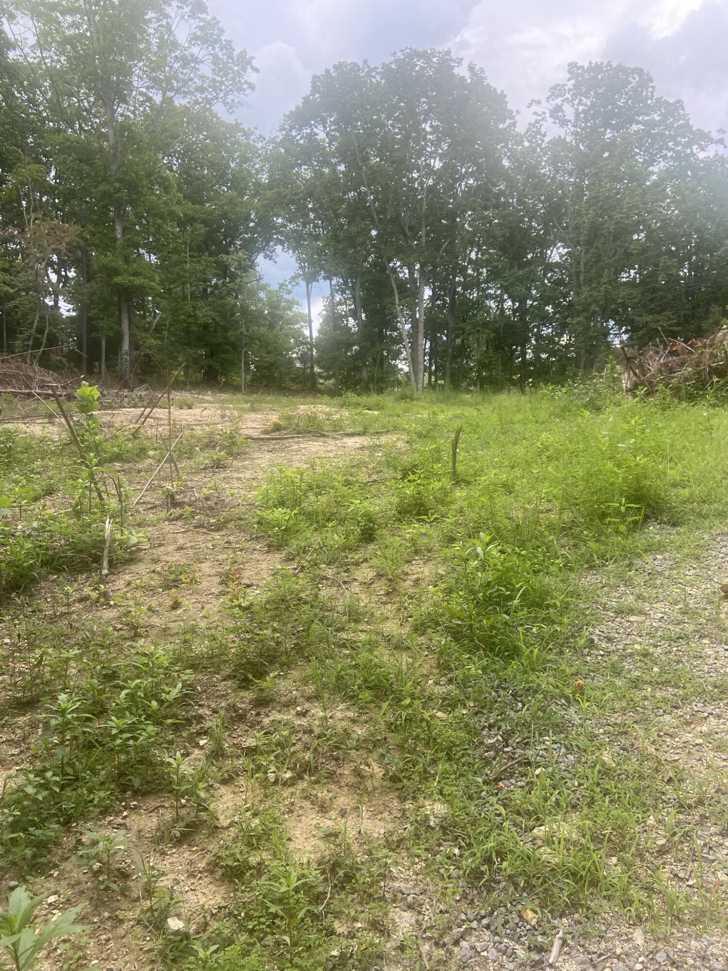 7 Northwest Mowery Road Cleveland, TN 37312 - Photo 3 of 5