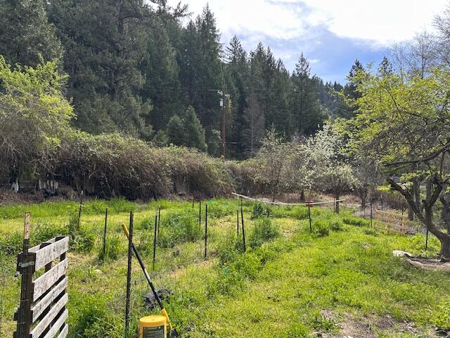 141 Wallen Ranch Road Burnt Ranch, CA 95527 - Photo 19 of 41