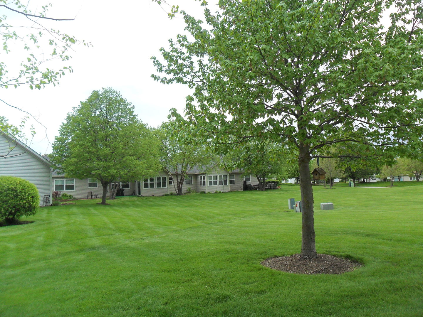 678 Cadillac Circle Romeoville, IL 60446 - Photo 18 of 19 a view of a park with a tree in the grass