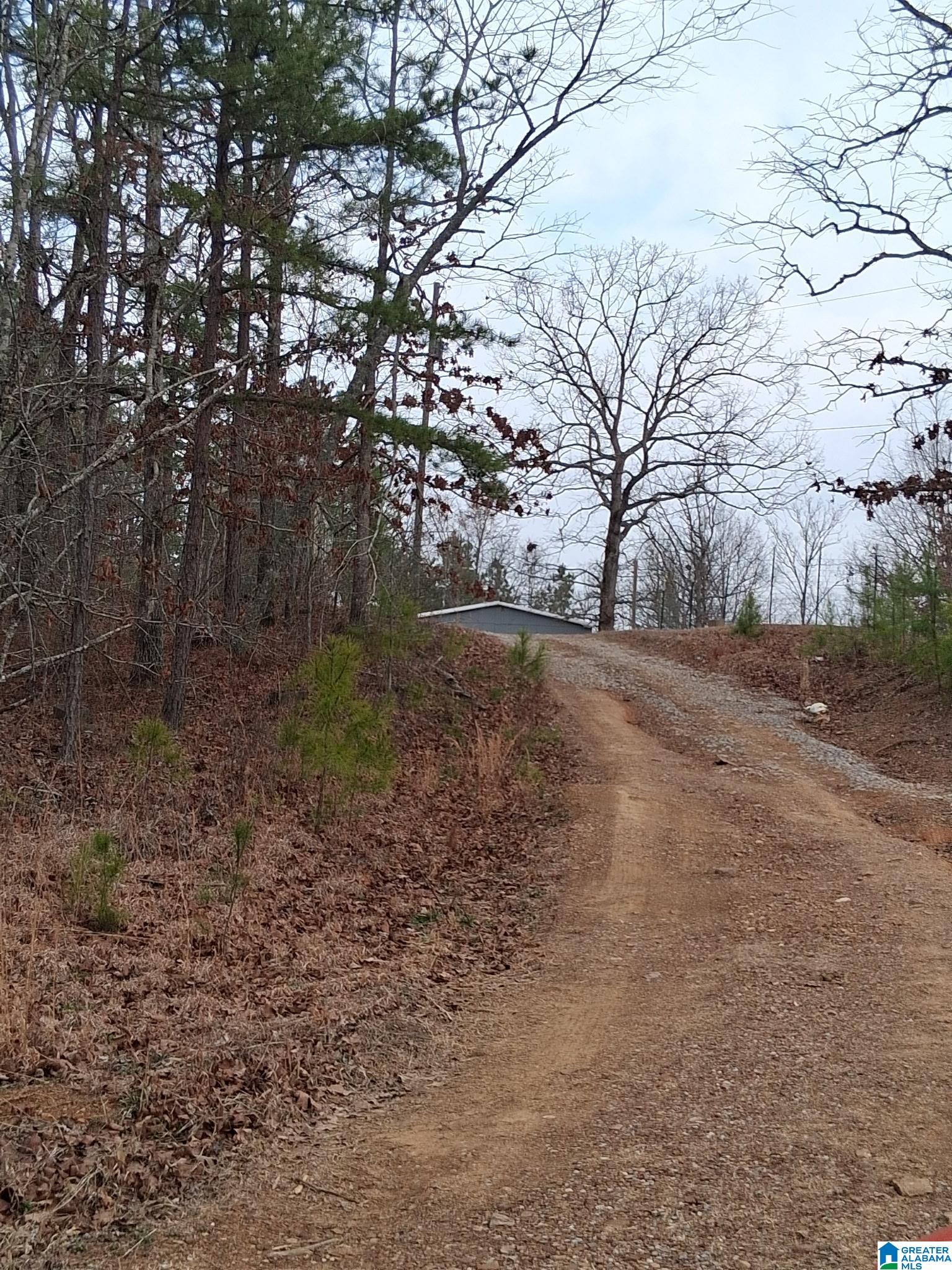 393 Siler Road Piedmont, AL 36272 - Photo 9 of 14