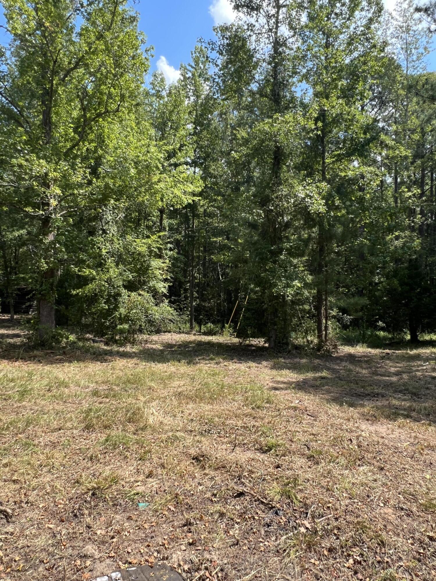 2138 Poor Boy Road Leesville, SC 29070 - Photo 1 of 11
