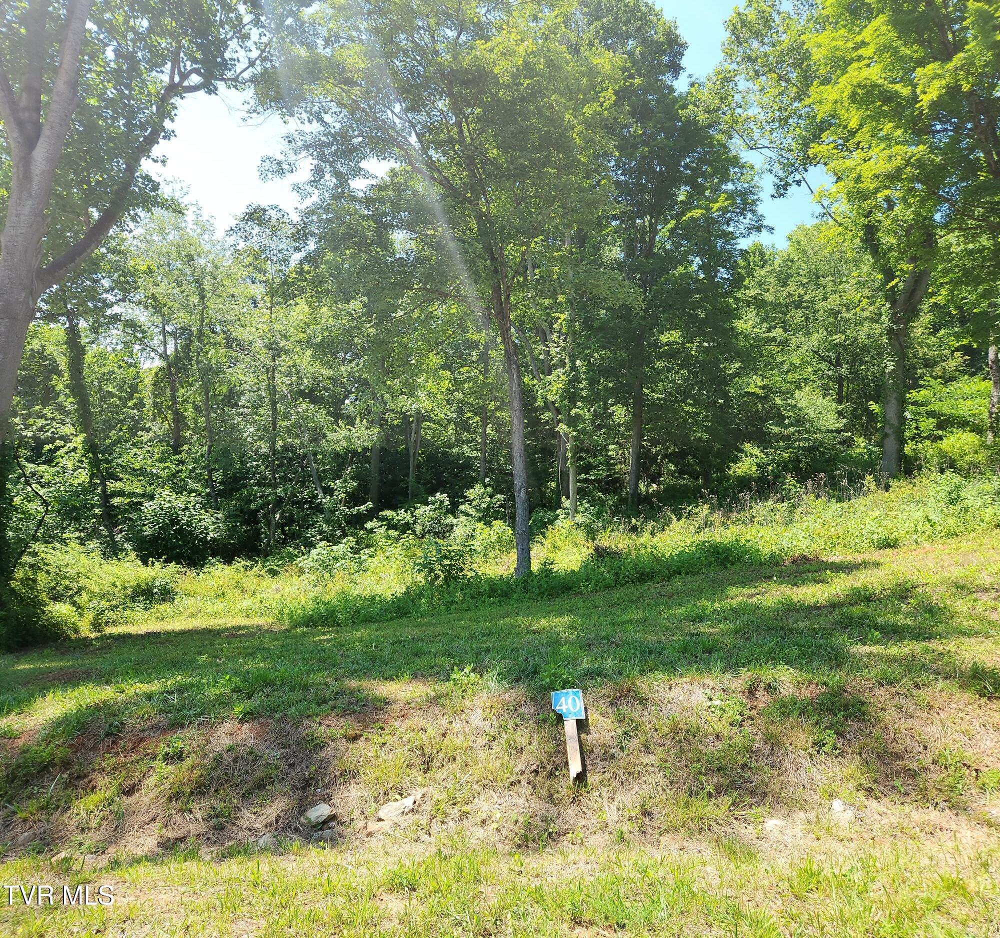 Lot 40 Cowan Town Road, Unit 40 Butler, TN 37640 - Photo 19 of 117 Lot 40 Front b
