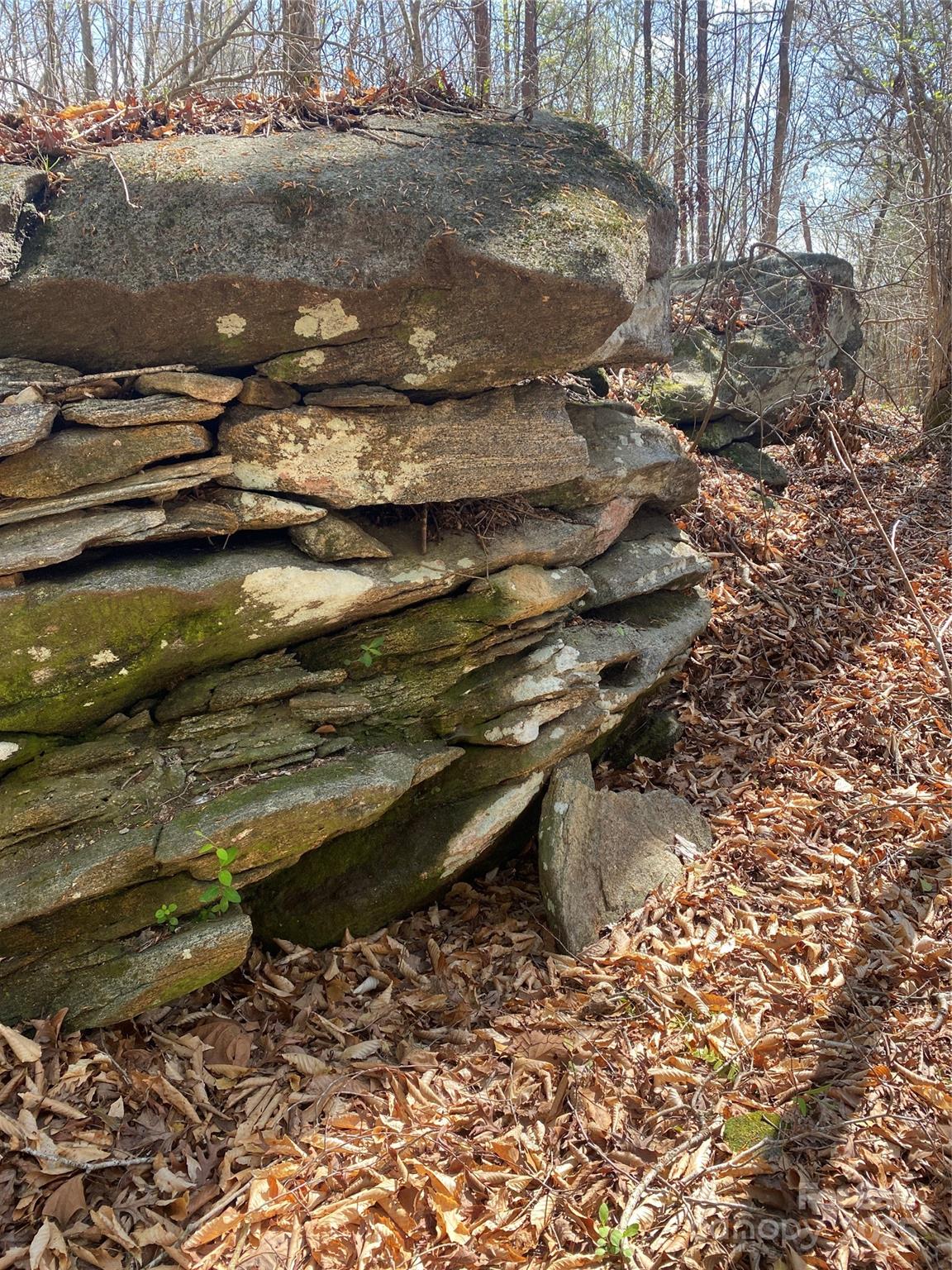 0 Cane Creek Mountain Road Bostic, NC 28018 - Photo 11 of 28 a view of a wooden floor with a lake