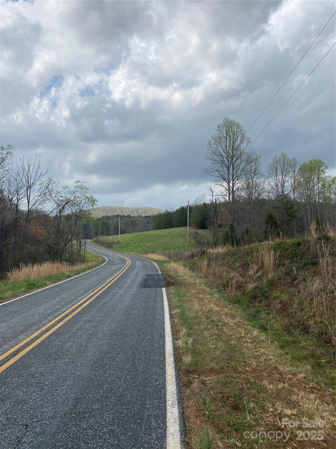 0 Cane Creek Mountain Road Bostic, NC 28018 - Photo 12 of 28 a view of a rural road with plants