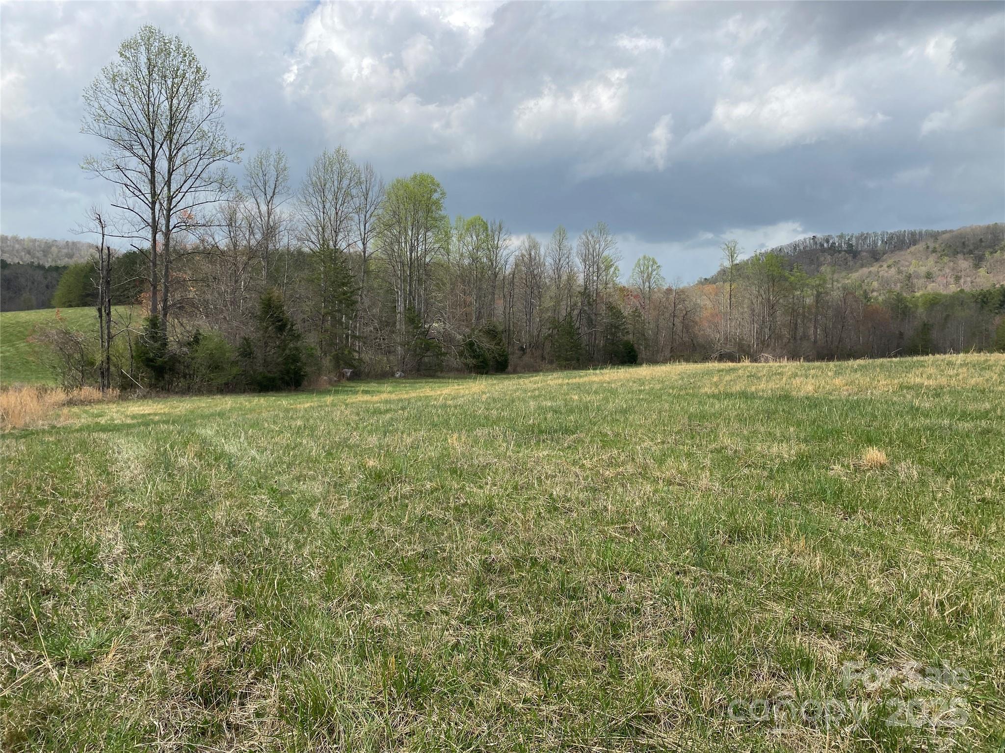 0 Cane Creek Mountain Road Bostic, NC 28018 - Photo 18 of 28 a view of an outdoor space and a yard