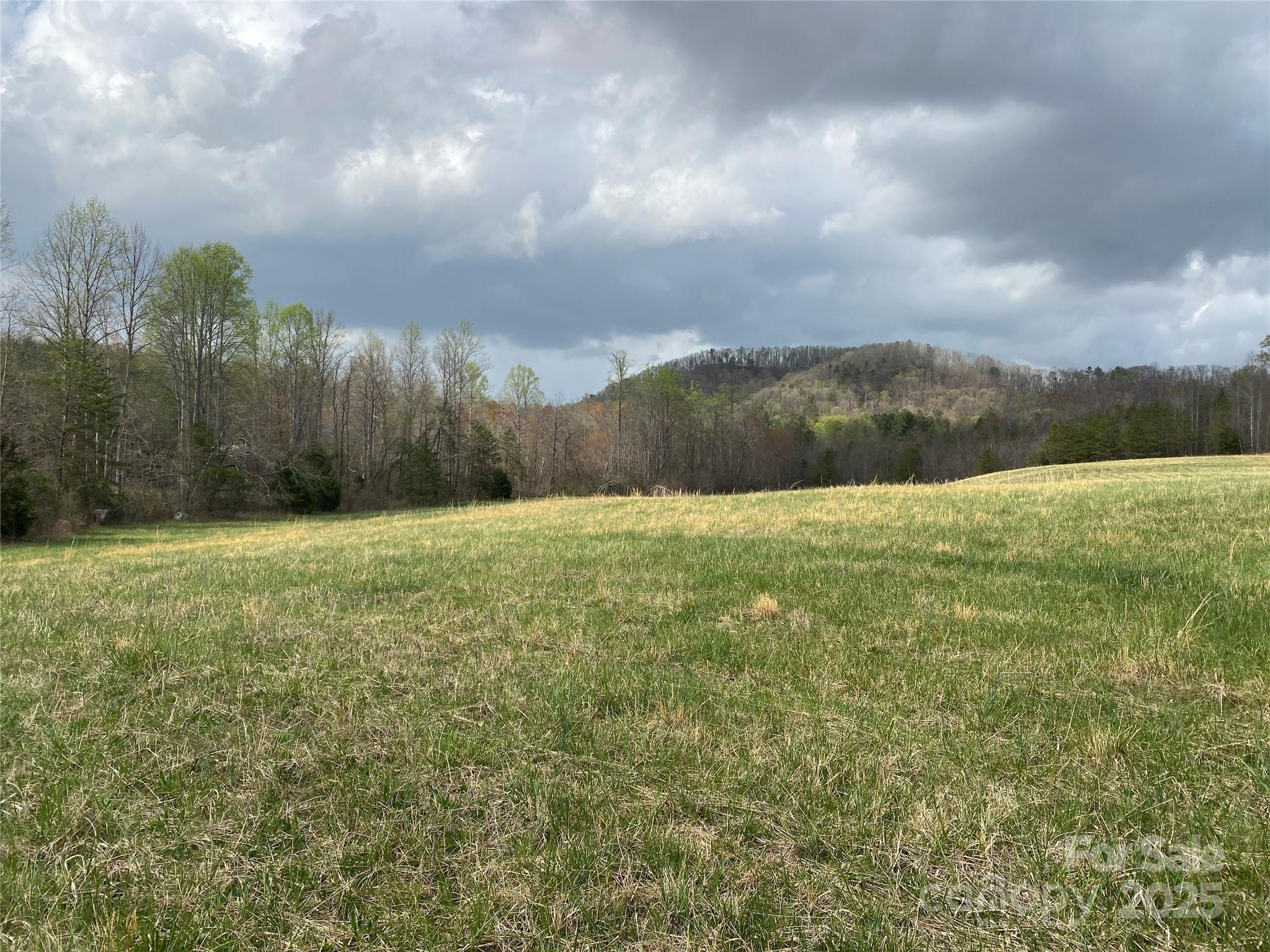 0 Cane Creek Mountain Road Bostic, NC 28018 - Photo 2 of 28 a view of an outdoor space and a yard