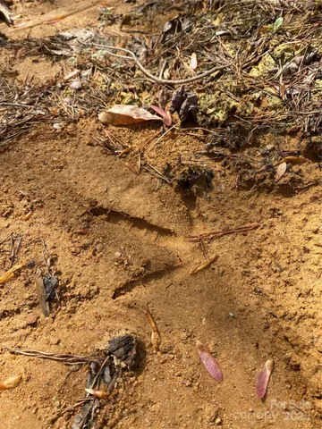 a view of a field with an trees in the background