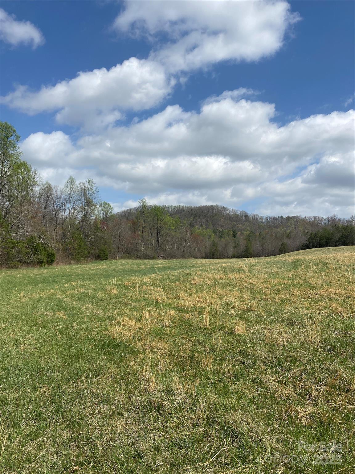 0 Cane Creek Mountain Road Bostic, NC 28018 - Photo 26 of 28 a view of a field with an ocean