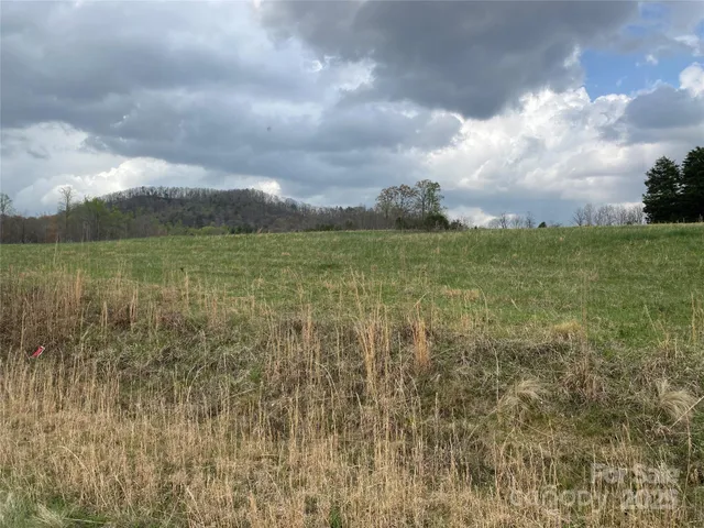 a view of a lake and mountain in the background