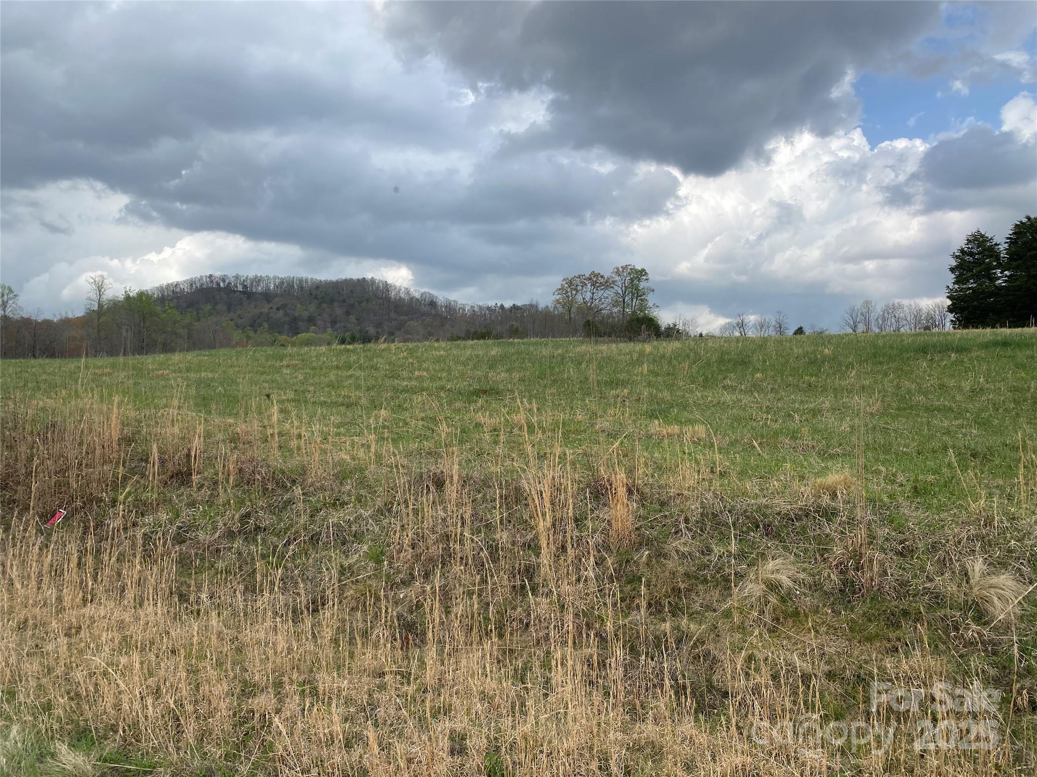 0 Cane Creek Mountain Road Bostic, NC 28018 - Photo 4 of 28 a view of a lake and mountain in the background