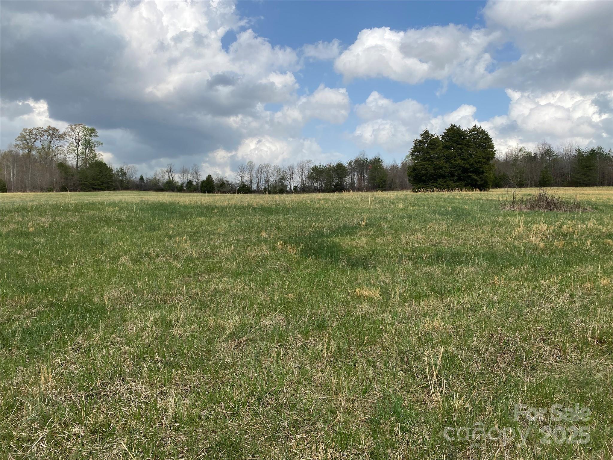 0 Cane Creek Mountain Road Bostic, NC 28018 - Photo 5 of 28 a view of building with yard