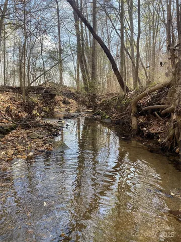 a view of a yard with plants and trees