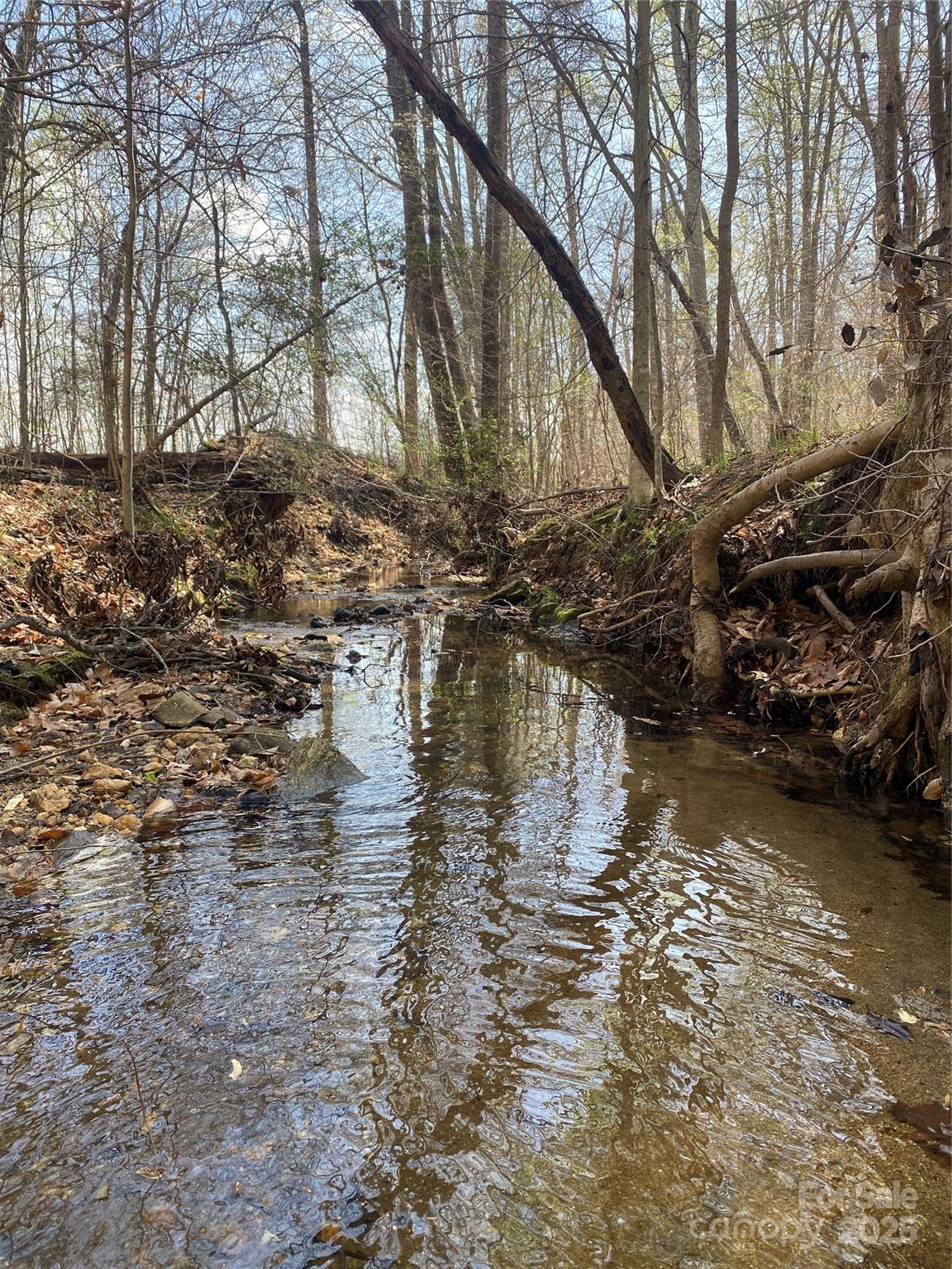 0 Cane Creek Mountain Road Bostic, NC 28018 - Photo 7 of 28 a view of lake