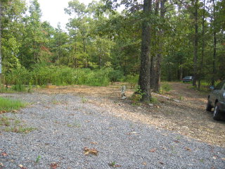 1713 Carters Road, Unit 111 Chatsworth, GA 30705 - Photo 1 of 1 Main View