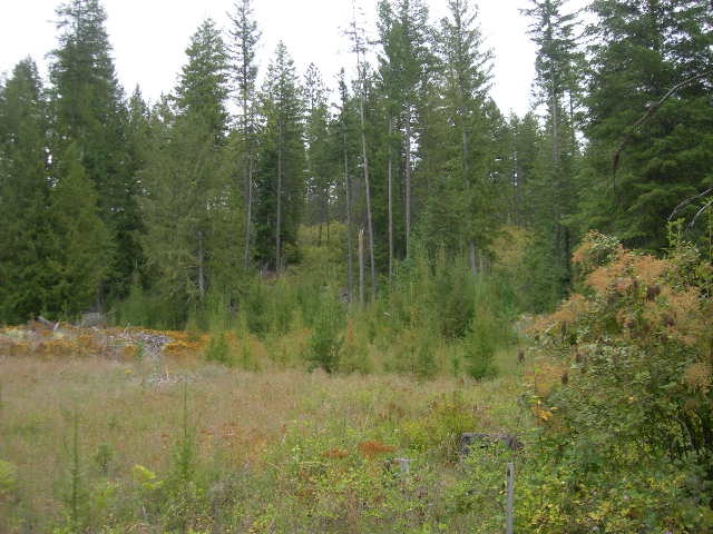 Nna Fertile Valley Road Newport, WA 99156 - Photo 12 of 15 Gallery Image 12