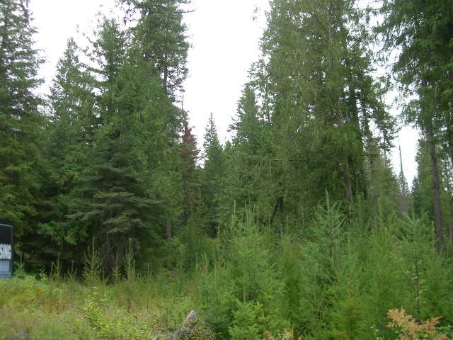 Nna Fertile Valley Road Newport, WA 99156 - Photo 13 of 15 Gallery Image 13