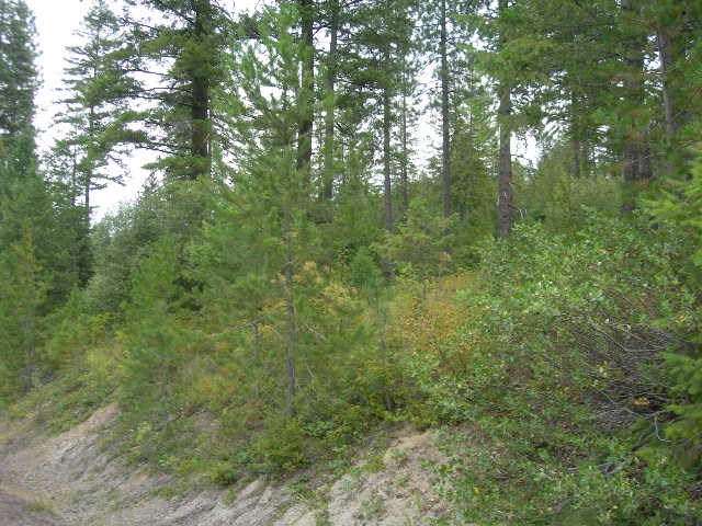 Nna Fertile Valley Road Newport, WA 99156 - Photo 3 of 15 Gallery Image 3