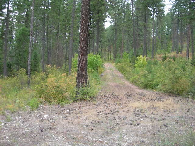 Nna Fertile Valley Road Newport, WA 99156 - Photo 5 of 15 Gallery Image 5