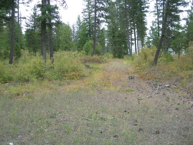 Nna Fertile Valley Road Newport, WA 99156 - Photo 6 of 15 Gallery Image 6