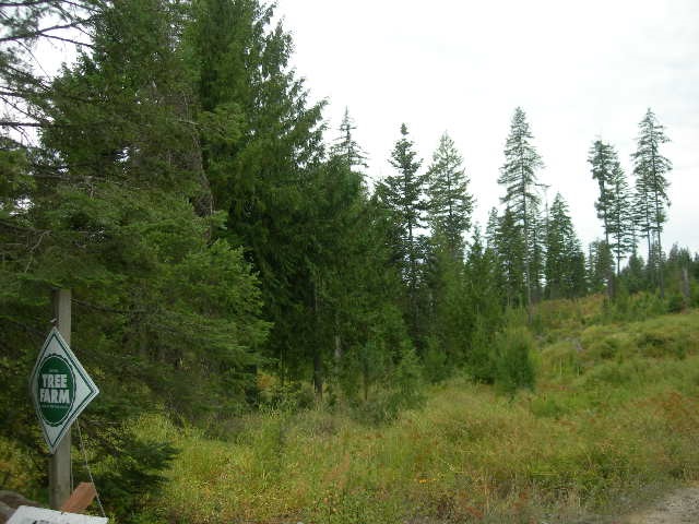 Nna Fertile Valley Road Newport, WA 99156 - Photo 9 of 15 Gallery Image 9