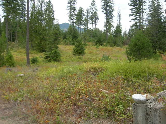 Nna Fertile Valley Road Newport, WA 99156 - Photo 10 of 15 Gallery Image 10