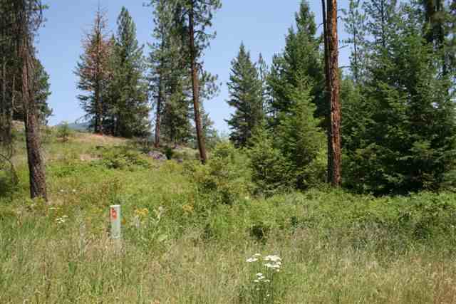 564 B Crown Ridge Way Colville, WA 99114 - Photo 1 of 4
