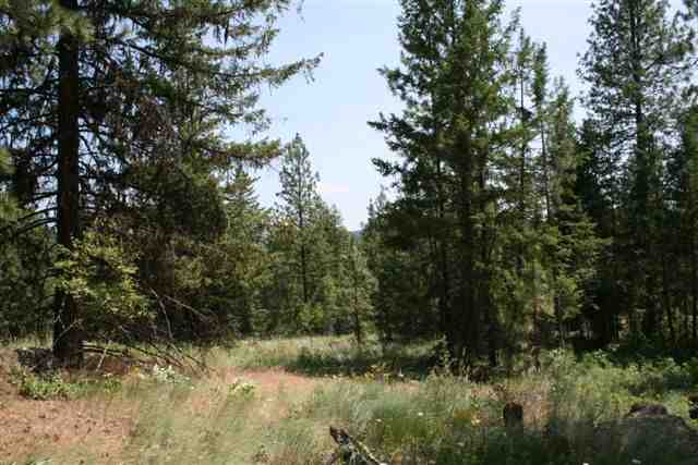 564 B Crown Ridge Way Colville, WA 99114 - Photo 2 of 4