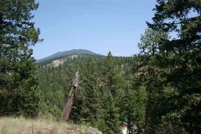 564 B Crown Ridge Way Colville, WA 99114 - Photo 3 of 4