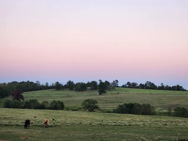 a view of a lake with houses in the background