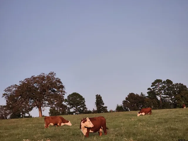 a view of a outdoor space