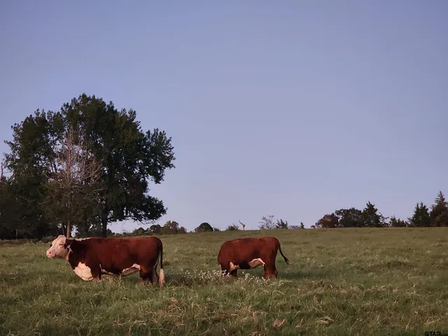 a view of outdoor space and city view