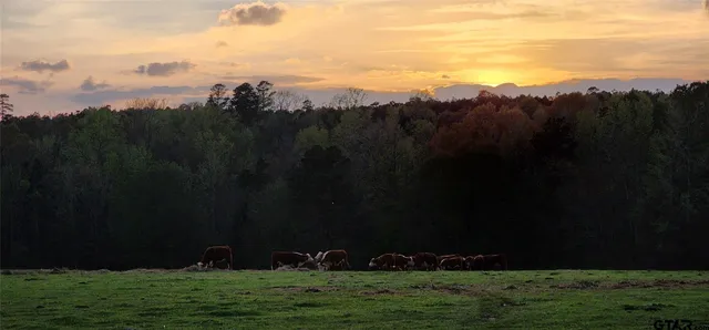 an aerial view of field of grass and trees
