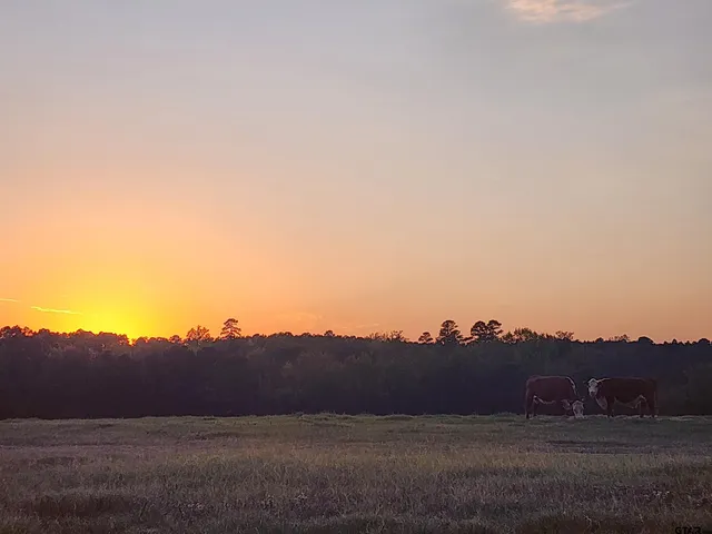 a view of house with garden and bench