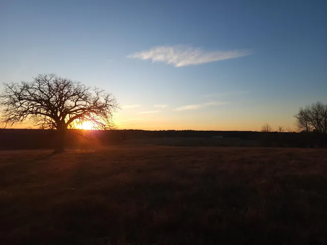 a view of a green field with an trees
