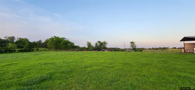 a view of a city and green field