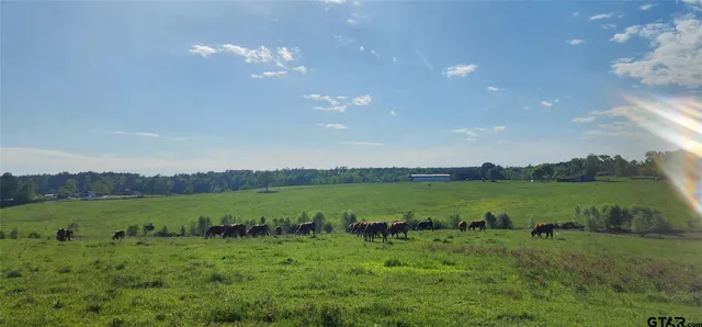 a view of a grassy field with trees