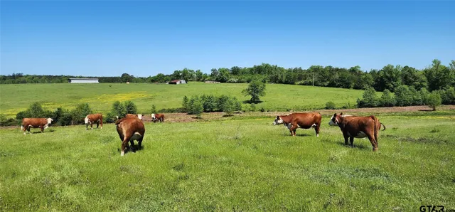 a view of a lake and yard