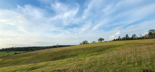 $767,000 | 59 South Linden Tx 75563, Linden, TX 75563