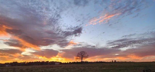 $767,000 | 59 South Linden Tx 75563, Linden, TX 75563