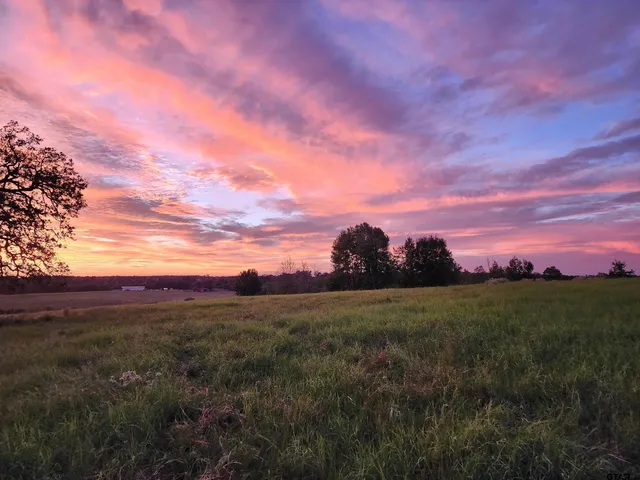 a view of a field with a house in background