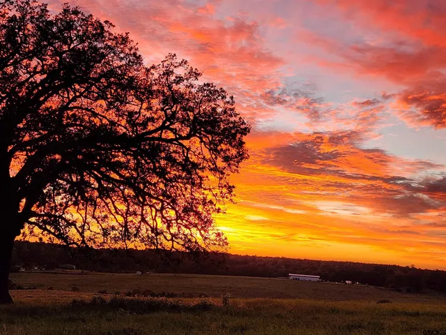 a view of outdoor space and mountain view