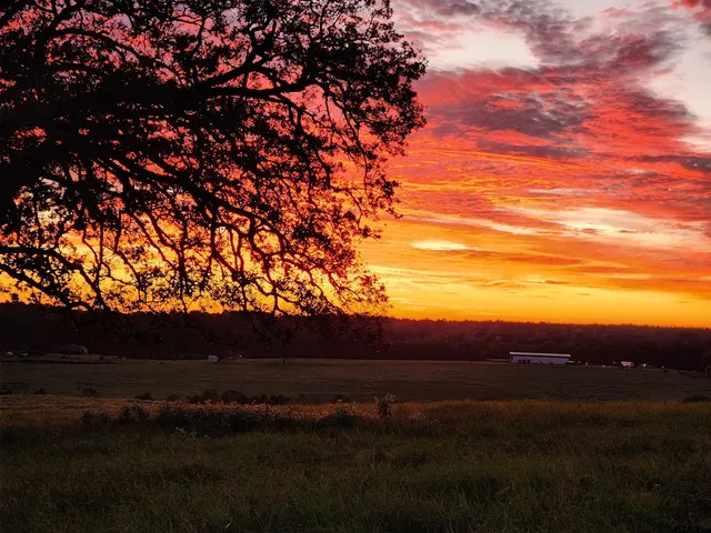 a view of an outdoor space and mountain from in the back