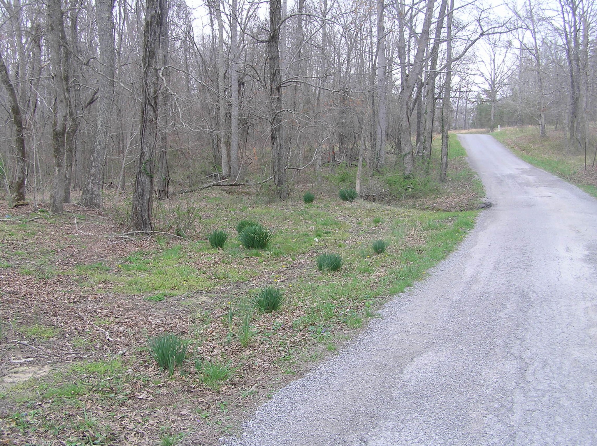 99 Prater Road Pikeville, TN 37367 - Photo 11 of 29 Gallery Image 11