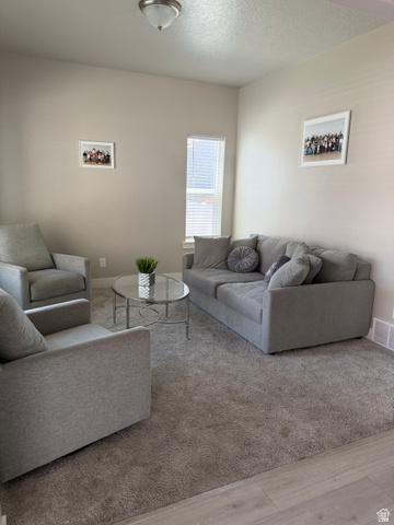 437 North 650 E Street Springville, UT 84663 - Photo 5 of 29