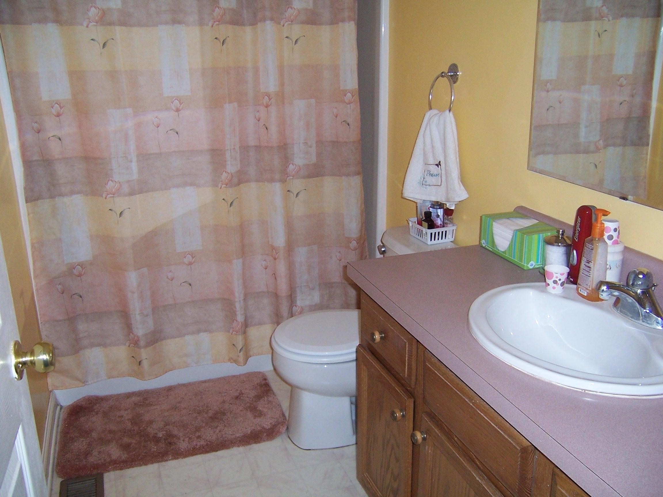 3192 Country Club Road Troutville, VA 24175 - Photo 18 of 21 Hall Bath