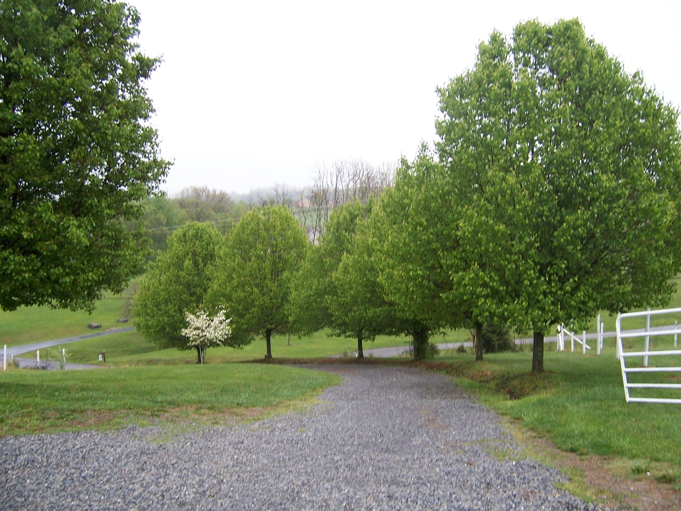 3192 Country Club Road Troutville, VA 24175 - Photo 4 of 21 3.29 acres